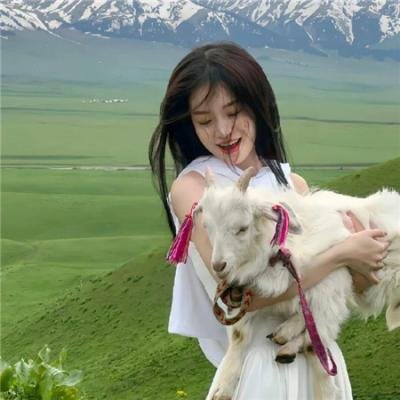 无名圣人封面
