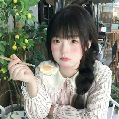 总统的女儿封面